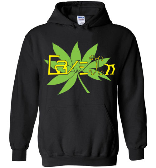 Experimental 420 Cave In